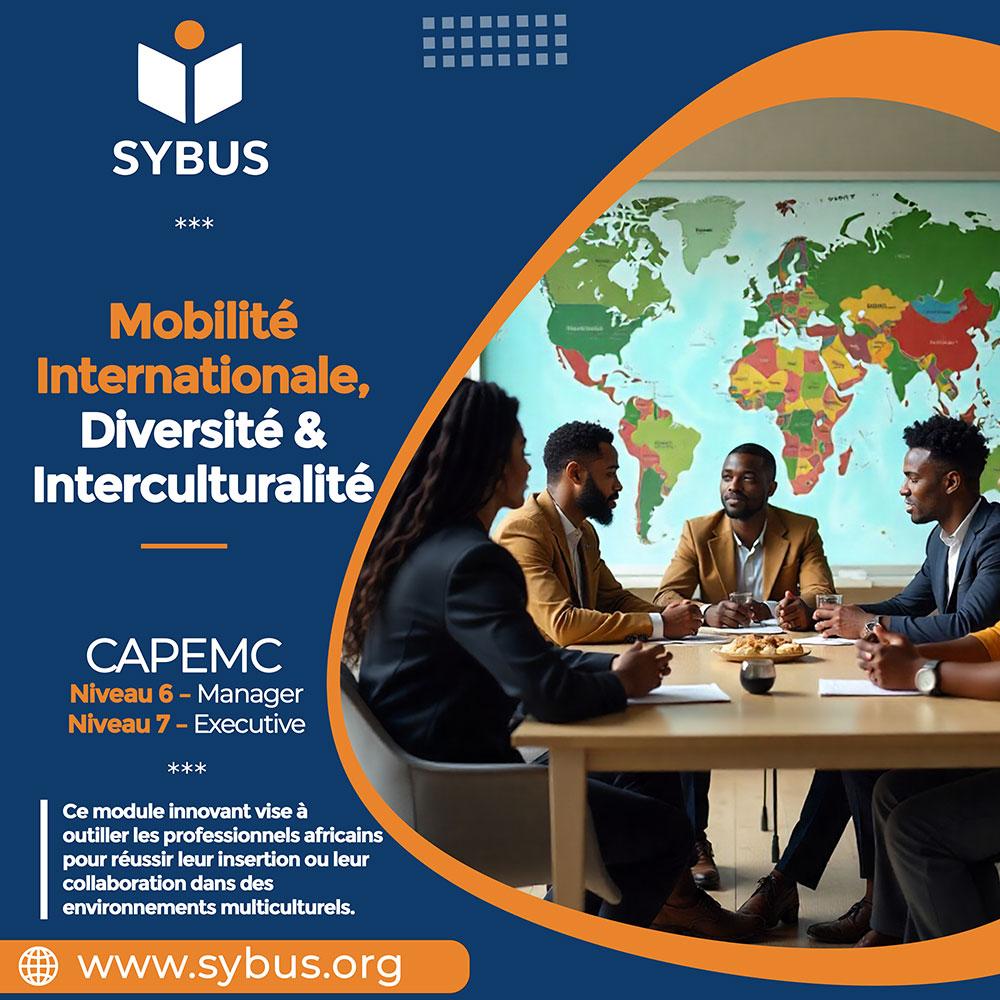 Mobilite Internationale, Diversite & Interculturalite